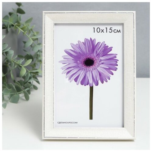 ��������� ������� Viola 10�15 �� ����� 313�