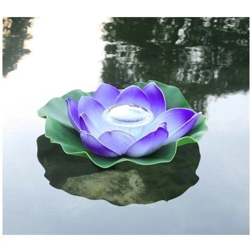 ���������� ����������������� �� ��������� ������� Lotus 599�