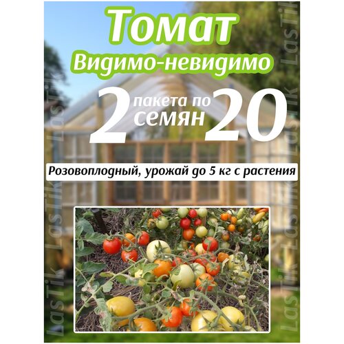 Томат Видимо-Невидимо сибирико 2 пакета по 20шт семян 238р