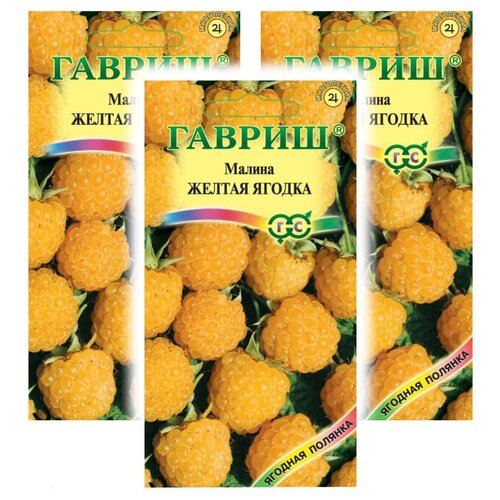 Комплект семян Малина Желтая ягодка х 3 шт. 289р