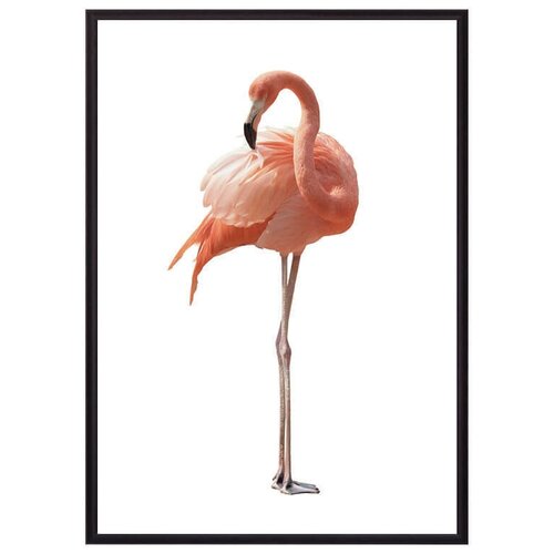 �������� 1 30 � 40 �� (����� �������:30 � 40 ��) 2990�