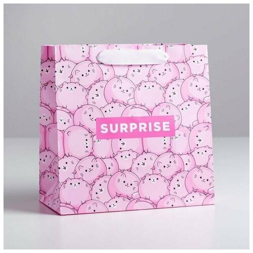 ����� �������������� ���������� Surprise, 22 � 22 � 11 �� 329�