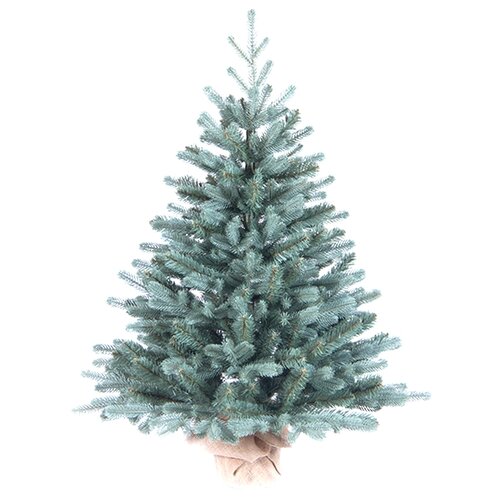 ���������� ������� ���� � ������� ������ 60 ��, ����� + ���, Max CHRISTMAS 3632�