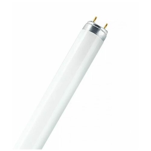    OSRAM L 36 W/840-1,  1002  Osram