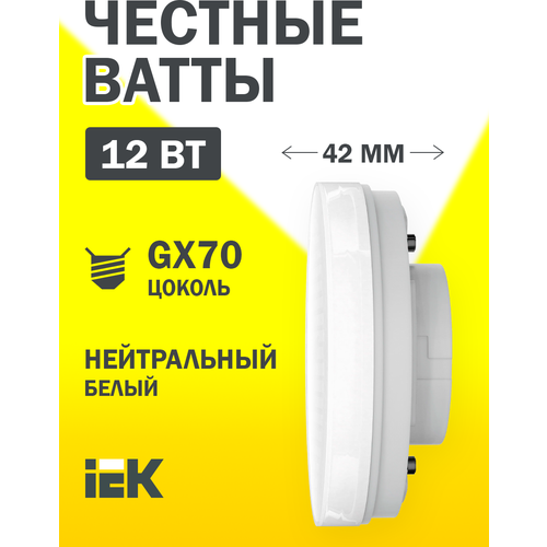  LED T110  12 230 4000 GX70 IEK 315