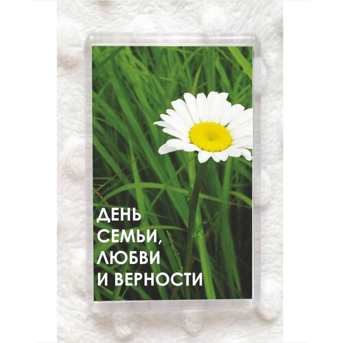 ������ ��������� ������������� MIGOM ����� 