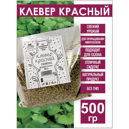 Клевер Красный семена для проращивания, 500 гр. Для микрозелени, пищевой, проростки, сидерат, для газона, микроклевер 269р