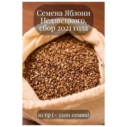 Семена Яблони Недзвецкого 900р
