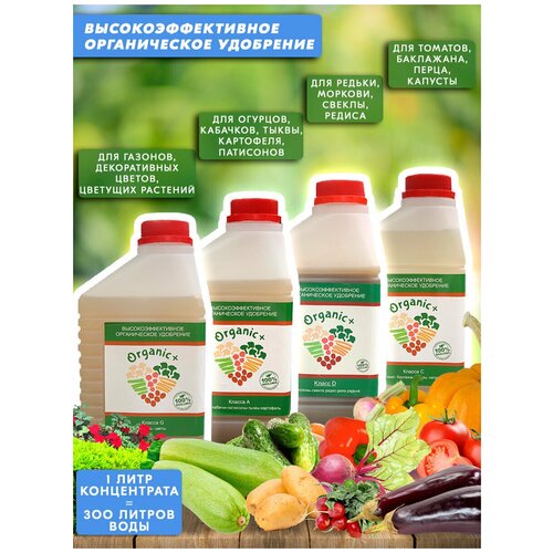 ����� ������������ ��������� ��� �����/������/�����/������ ����� A,D,C,G 4 ����� Organic+ 2400�