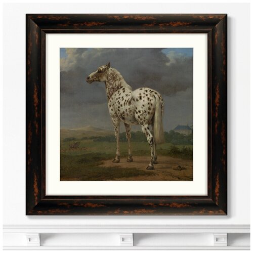     The Piebald Horse, 1654.  : 60,560,5 13799