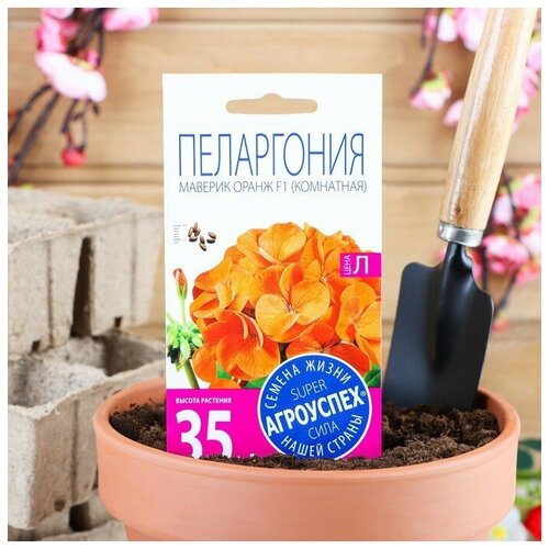Семена комнатных цветов Пеларгония 