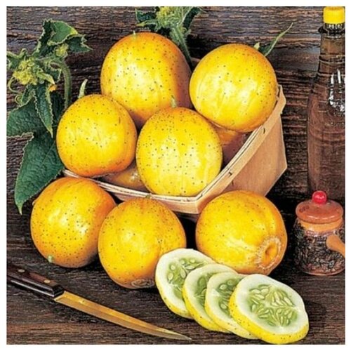 Семена Огурец-Лимон 