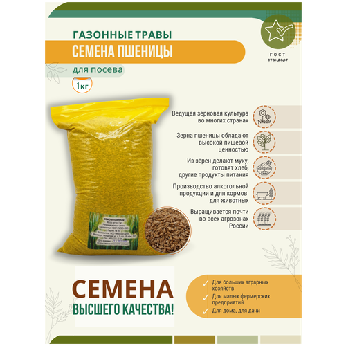 Семена пшеницы МосАгроГрупп 1 кг МАС000013 . 697р