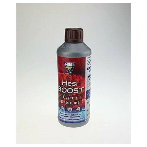    Hesi Boost 1126