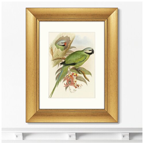      Love parrots II, 1851.  : 40,550,5,  8199     +