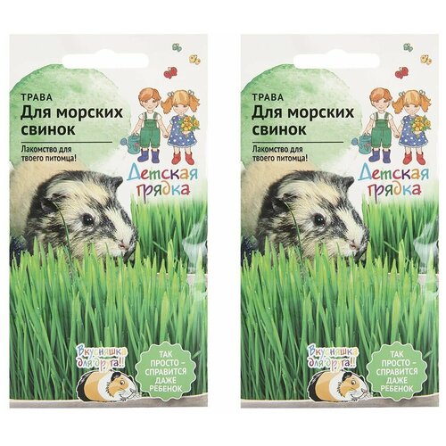 Набор семян Трава для морских свинок 10 г Детская грядка - 2 уп. 239р