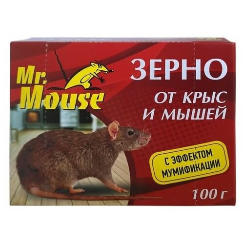 ����� �� ���� � ����� Mr. Mouse c �������� ����������� 119�