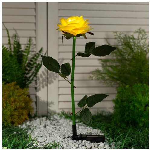 ��������� Luazon Lighting ������� ���������� �� ��������� ������� ����� ������, 75 ��, 5 LED, �������� ����� 1400�