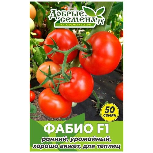 Семена томата Фабио F1 - 50 шт - Добрые Семена.ру 544р