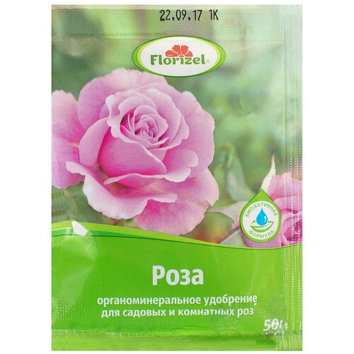��������� Florizel ��� ��� ��� 0.05 �� 99�