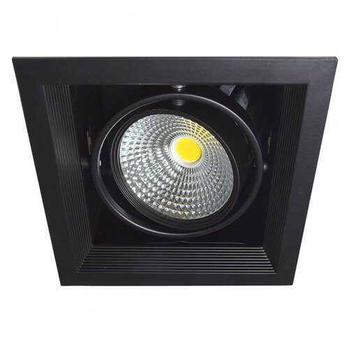 ���������� ������������ ��������� ������������ LED 1*20W, BK IL.0006.2100 831�