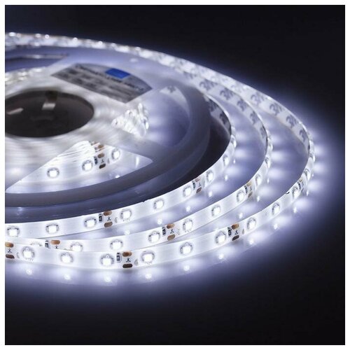    Apeyron Electrics 5 , IP65, SMD3528, 60 LED/, 12 , 6500 2209