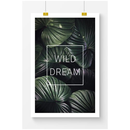      Postermarkt Wild dream,  6090 ,       2159