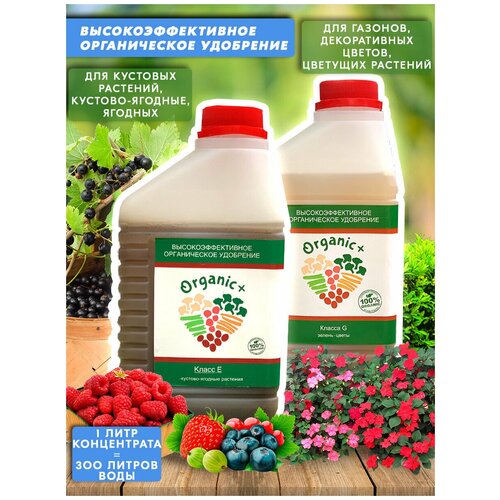 ����� ������������ ��������� ��� ������/������/������/���� ����� G,� 2 ����� Organic+ 1197�