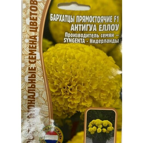 Бархатцы прямостоячие Antigua Yellow F1 5 шт х 1 упаковка /Редкие растения 285р