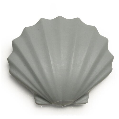  sea shell 1120