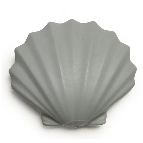 ������ sea shell 1120�