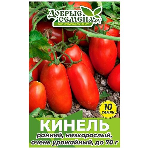 Семена томата Кинель - 10 шт - Добрые Семена.ру 144р