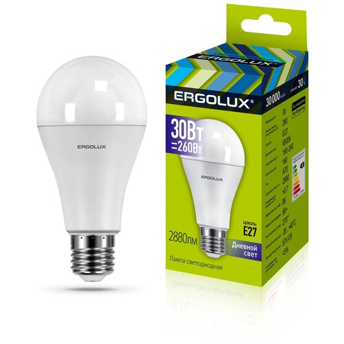 (.   30 E27 6500K 180-240), ERGOLUX LED-A70-30W-E27-6K (5 .) 1453