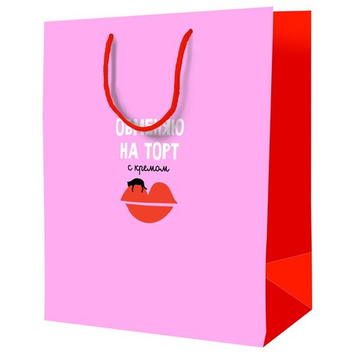 ����� ���������� 26*32*12�� ArtSpace 
