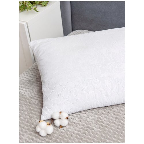 ������� �������������� BIO-TEXTILES 