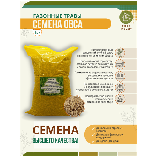 Семена овса - 1 кг Мосагрогрупп 240р