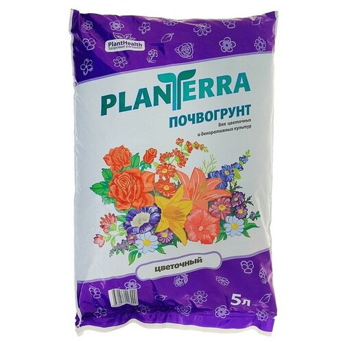   2990284      PlanTerra, , 5  252