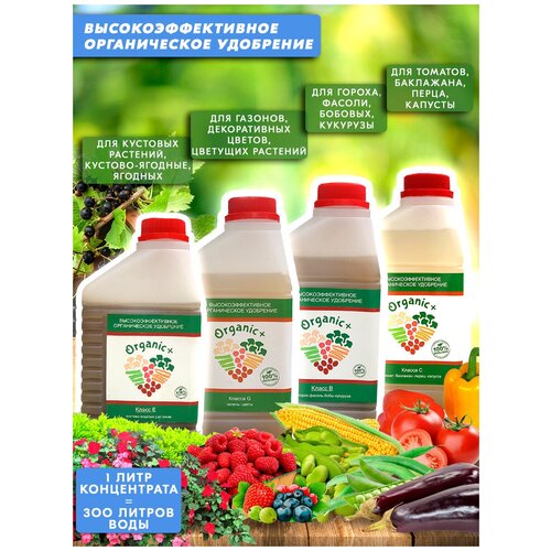 ����� ������������ ��������� ��� �����/����/������/������� ����� C,E,G,B 4 ����� Organic+ 2400�