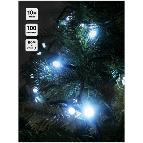 �������� ���� ������� SH Lights 100 ����� LED, 10 �, RB-LD100-W-E 819�