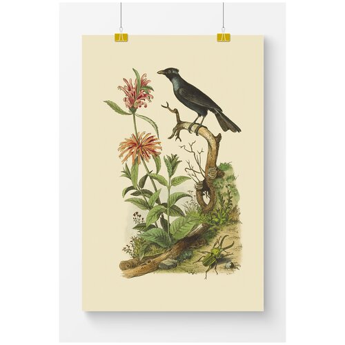 ������ �� ����� ��� ��������� Postermarkt ��������� ������ �����, ������ 40�50 ��, ������� ������� ��� ��������� � ������ 1169�