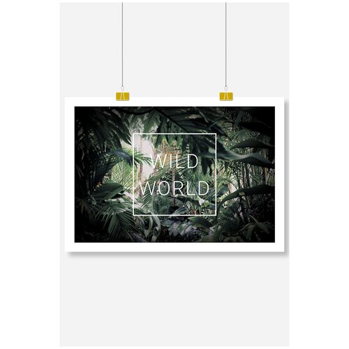      Postermarkt Wild world,  6090 ,       1619