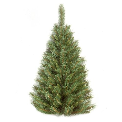 National Tree Company ��������� ������������� ���� ������� 91 ��, ��� 31TF30HT 3807�