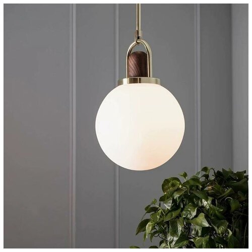   BULB, 25  7924