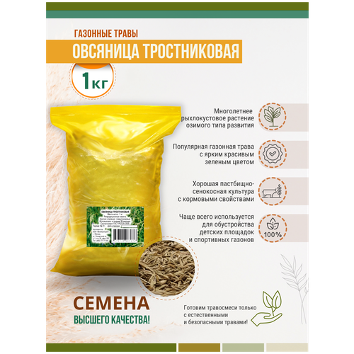 Семена Овсяницы Тростниковой 1 кг сенокосная Мосагрогрупп МАС000030 510р