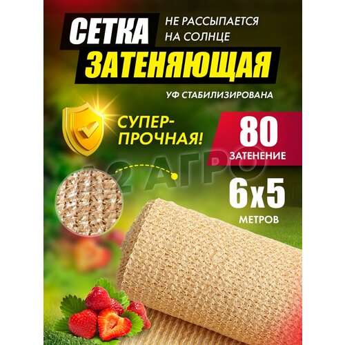 ���������� ����� 80% 6�5 ������� ��� ���� 2100�