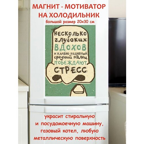 �������� ������ ��������� ������ ������ �� ����������� 20 �� 30 �� 790�