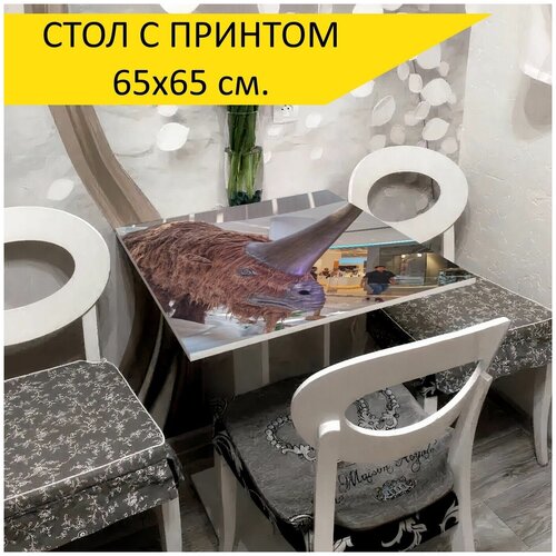���� 