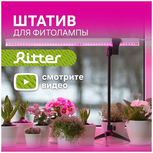 ������ ��������������� � ���������� ��� ��������� �5 Ritter PLANTA, ������, �������, ������, 1��, 56294 8, Ritter 792�