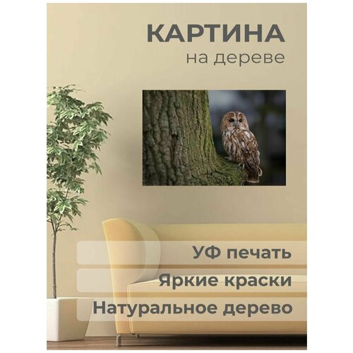 ����������� ������� �� ������ 