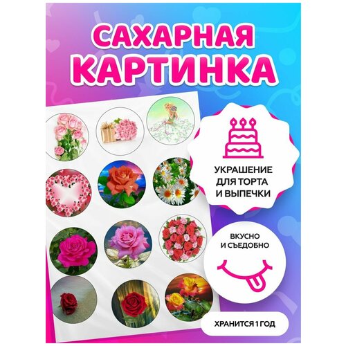 �������� �������� �� ���� �������, ����, ������� - �� 8 �����. ����� ��� ����� / ��������� ������ �4 320�